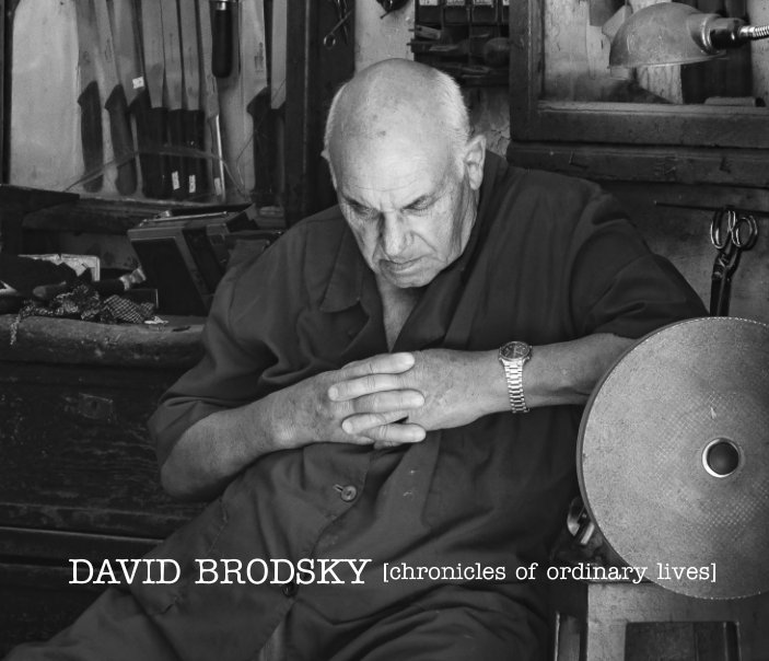 View David Brodsky [chronicles of ordinary lives] by David Brodsky