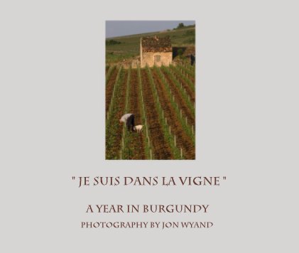 " JE SUIS DANS LA VIGNE " A YEAR IN BURGUNDY book cover