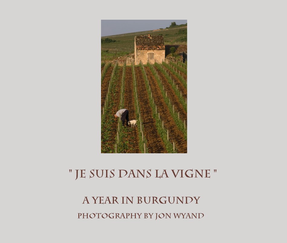 View " JE SUIS DANS LA VIGNE " A YEAR IN BURGUNDY by PHOTOGRAPHY BY JON WYAND