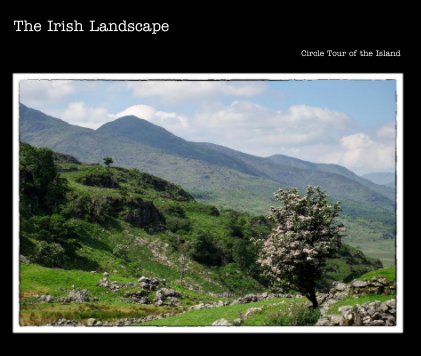The Irish Landscape book cover