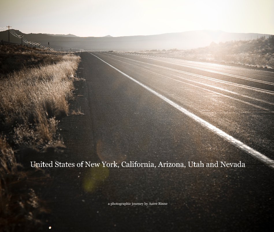 View United States of New York, California, Arizona, Utah and Nevada by Aarre Rinne