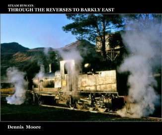 STEAM BYWAYS : THROUGH The REVERSES TO BARKLY EAST book cover