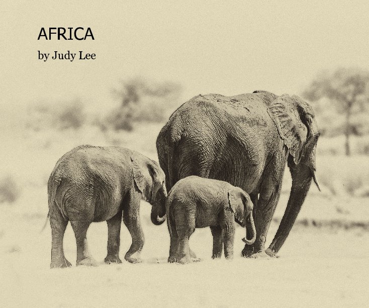 Bekijk AFRICA by Judy Lee op Judy Lee