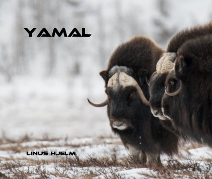 Yamal book cover