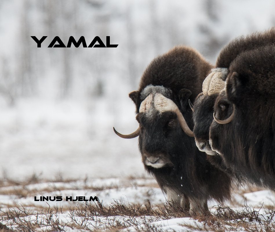 View Yamal by Linus Hjelm