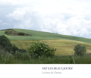 OH! Les beaux jours  (III) book cover