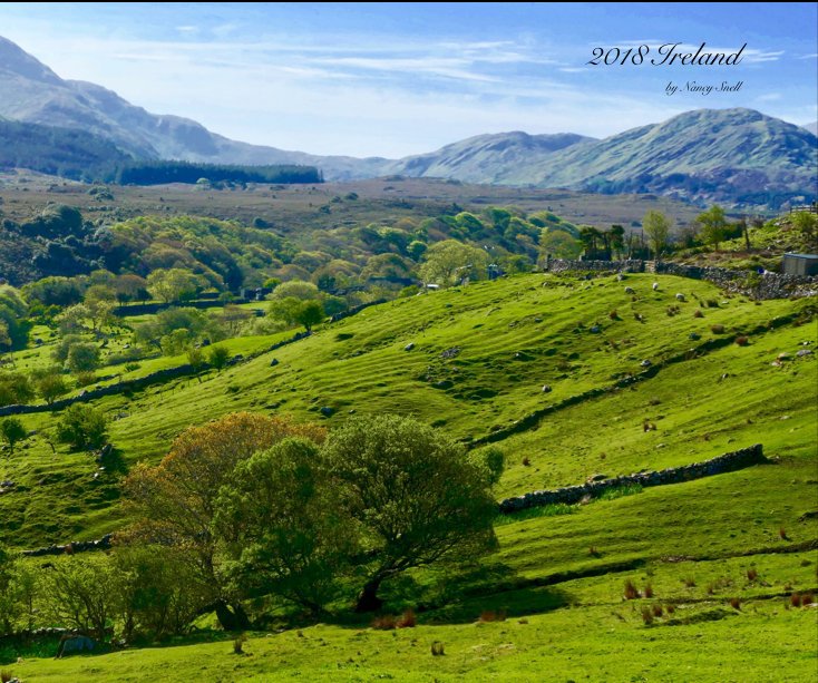 View 2018 Ireland by Nancy Snell