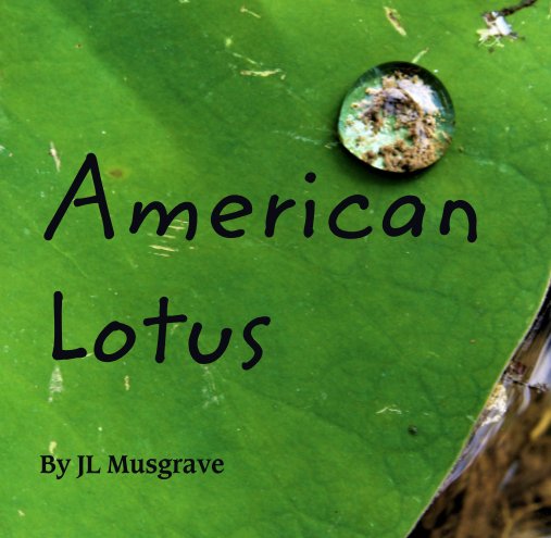 View American  Lotus by JL Musgrave