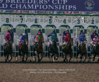 2009 Breeders' Cup Championships | Santa Anita Park book cover