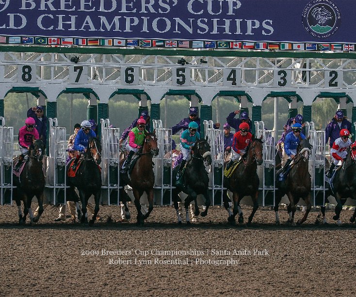 View 2009 Breeders' Cup Championships | Santa Anita Park by Robert Lynn Rosenthal