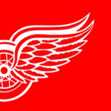 Detroit Red Wings book cover