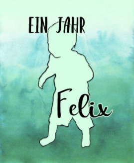 Ein Jahr Felix book cover