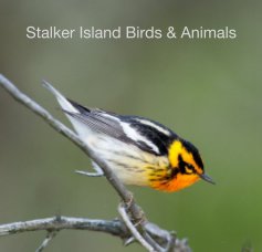 Stalker Island Birds and Animals book cover