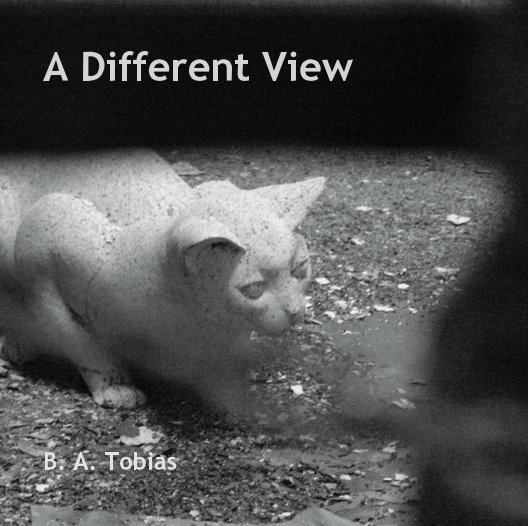 View A Different View by B. A. Tobias