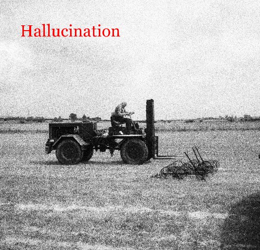 View Hallucination by John Sumpter