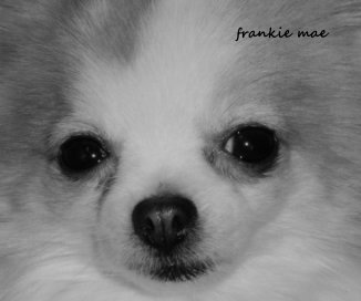 frankie mae book cover