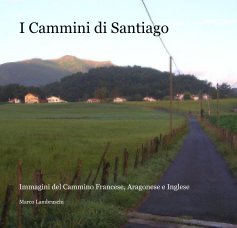 I Cammini di Santiago book cover