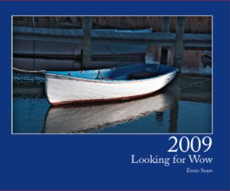 2009 book cover