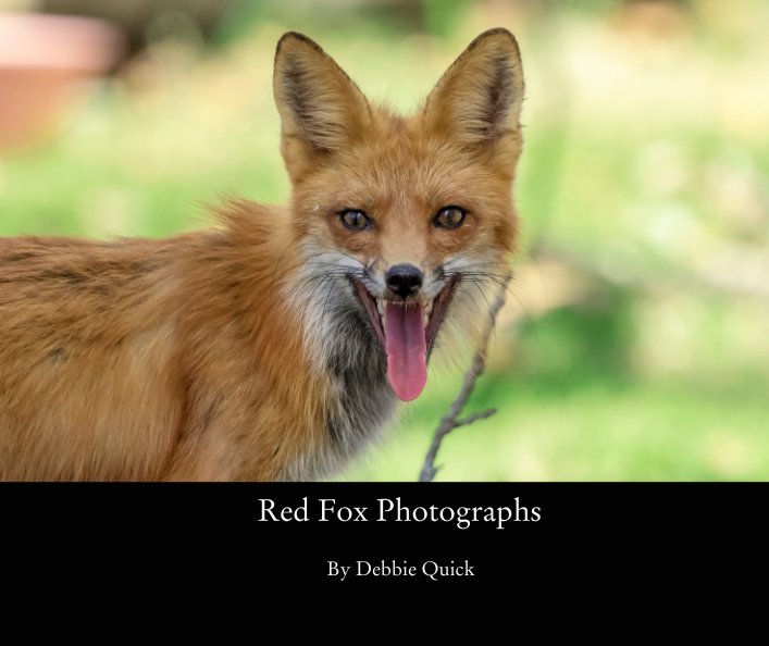View Red Fox Photographs by Debbie Quick