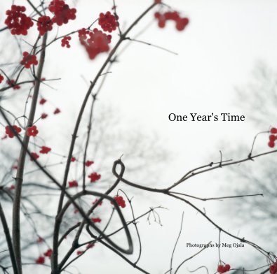 One Year's Time book cover