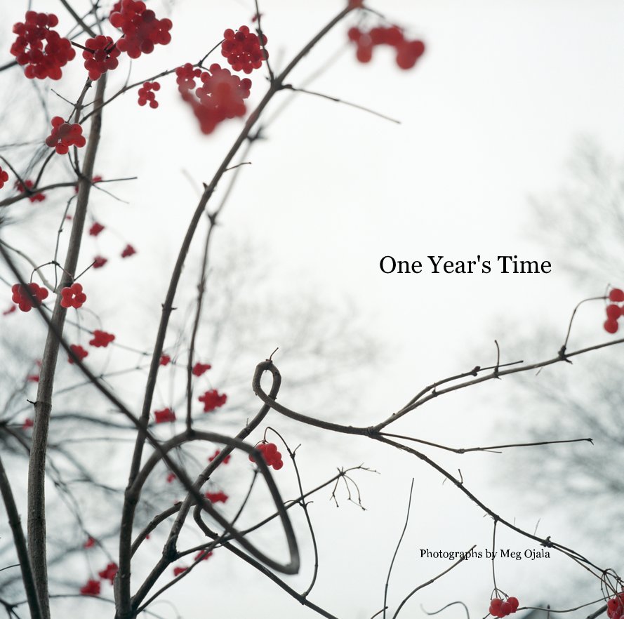 View One Year's Time by Photographs by Meg Ojala