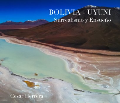 BOLIVIA - UYUNI book cover
