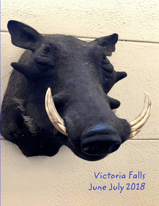View Victoria Falls 2018 by Vida Viliunas