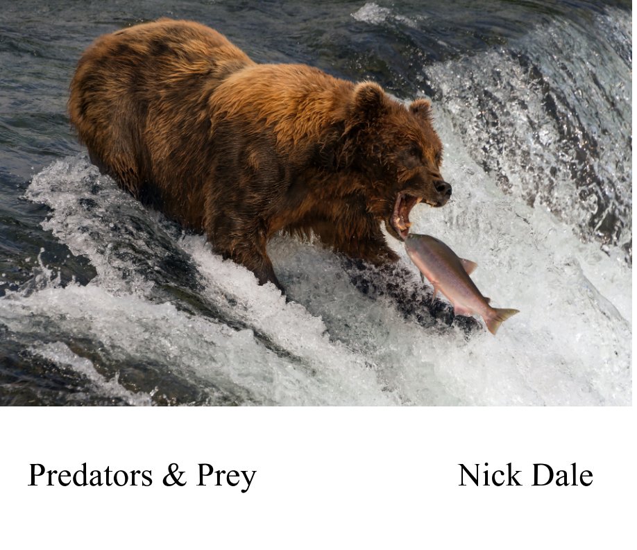 Predators and Prey by Nick Dale | Blurb Books