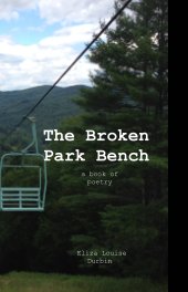 The Broken Park Bench book cover