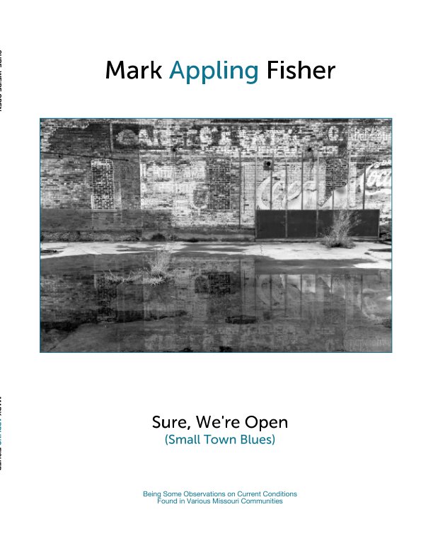 View Sure, We're Open by Mark Appling Fisher