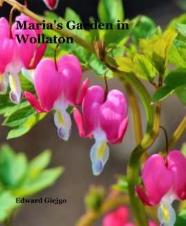 Maria's Garden in Wollaton book cover