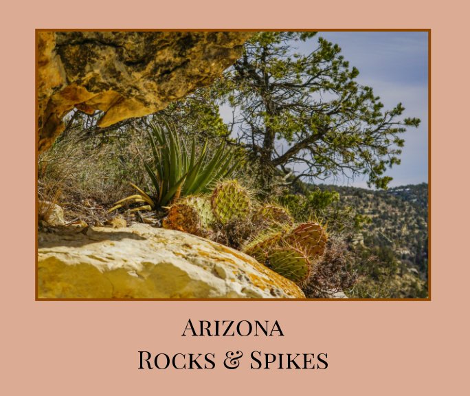 View Arizona Rocks and Spikes - Soft Cover by Anna Fragapane, Ray Fragapane