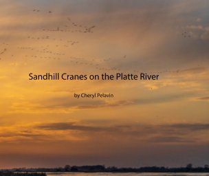 Sandhill Cranes book cover