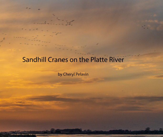 View Sandhill Cranes by Cheryl Pelavin
