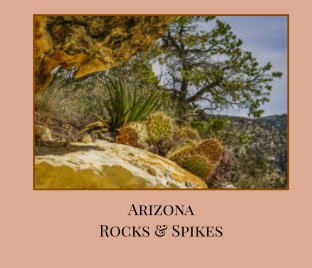 Arizona Rocks & Spikes (Hard Cover) book cover