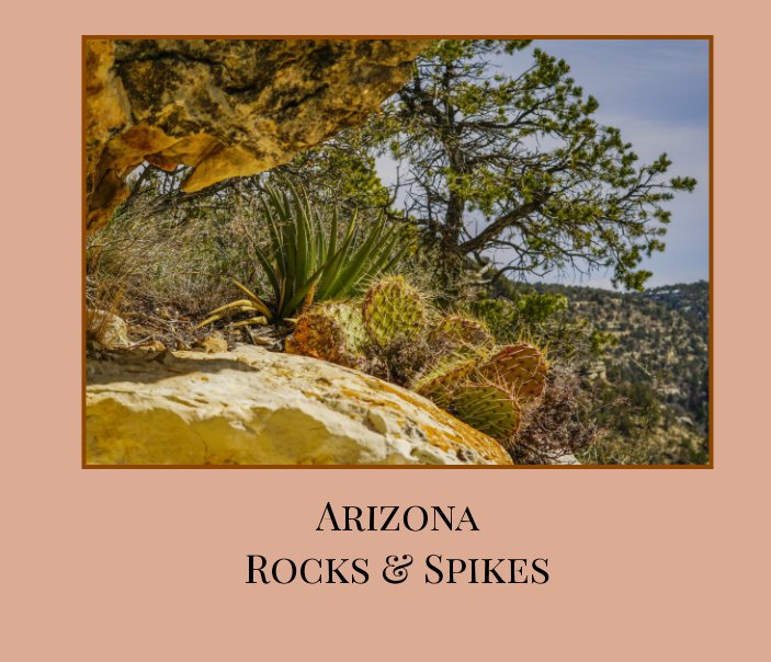 View Arizona Rocks & Spikes (Hard Cover) by Anna Fragapane, Ray Fragapane