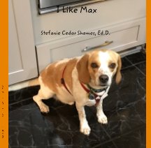 I Like Max book cover