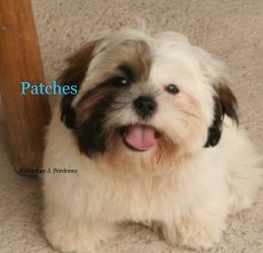 Patches book cover