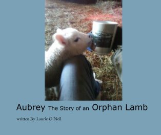 Aubrey The Story of an Orphan Lamb book cover