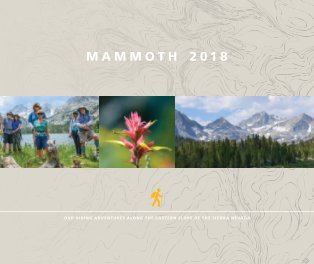 Mammoth 2018 book cover
