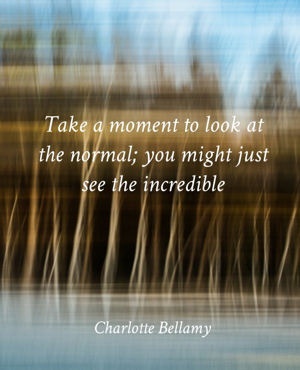 View Take a moment to look at the normal: you might just see the incredible by Charlotte Bellamy