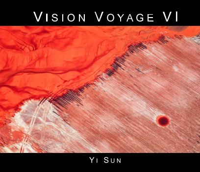 VISION VOYAGE VI book cover