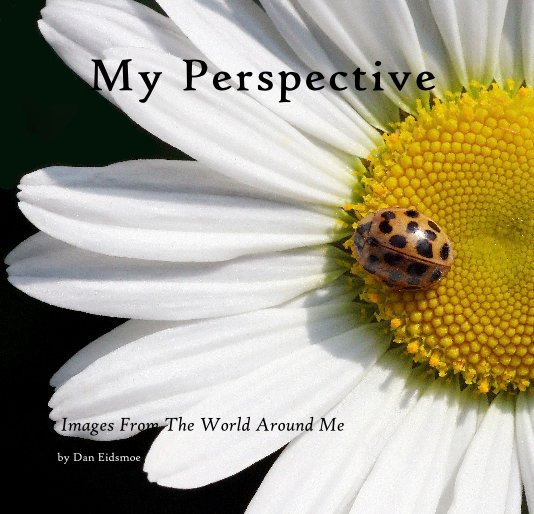 View My Perspective by Dan Eidsmoe