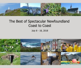 The Best of Spectacular Newfoundland Coast to Coast book cover