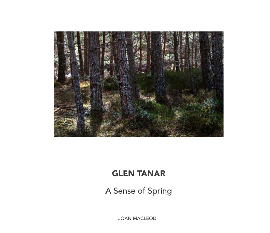 Visualizza Glen Tanar - A Sense of Spring di Joan MacLeod