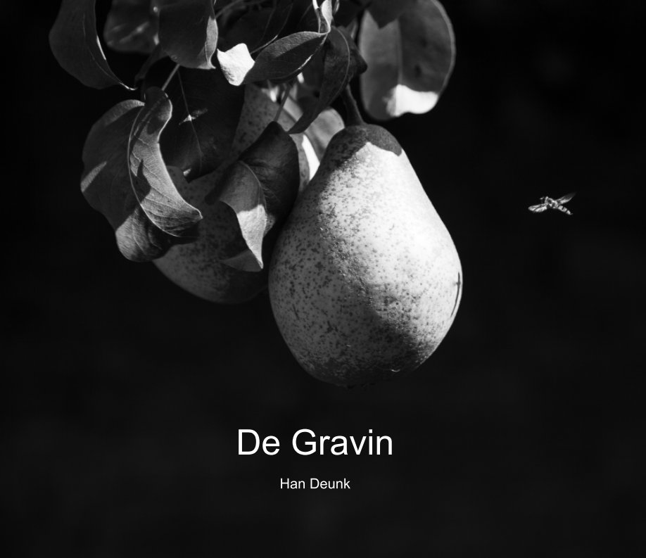 Visualizza De Gravin di Han Deunk