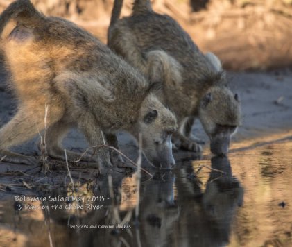Botswana Safari May 2018 - 3 Days on the Chobe River book cover