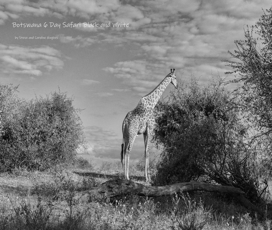View Botswana 6 Day Safari Black and White by Steve and Caroline Hughes