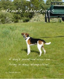 Ernie's Adventures book cover