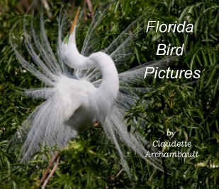 Florida Bird Picture book cover